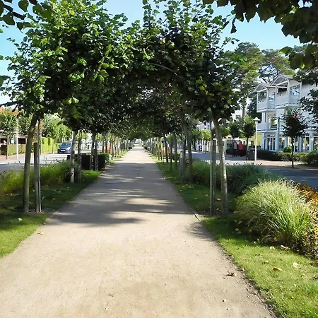 Meeresleuchten - بابي